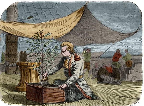 Virota - Câu chuyện lịch sử cà phê