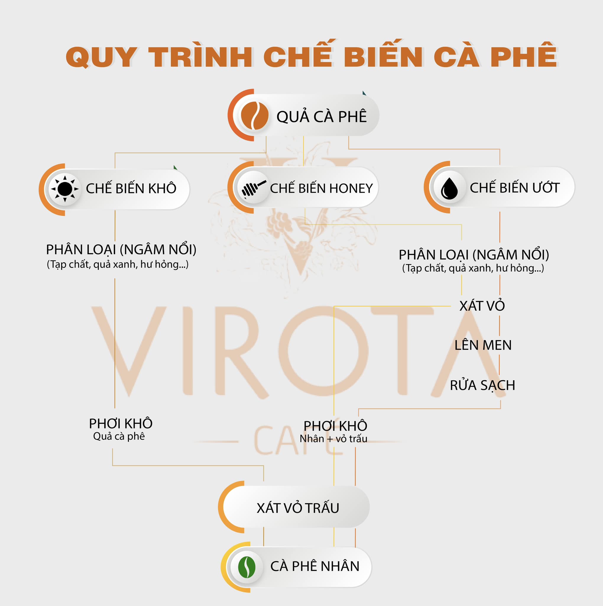 so sánh cà phê chế biến ướt và cà phê chế biến khô