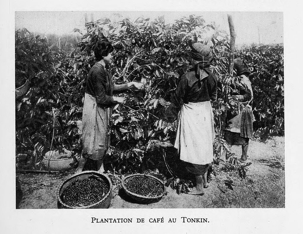 Lịch sử cà phê Việt Nam | Virota Cafe