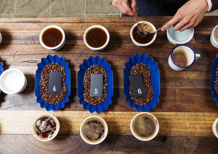 Virota Cafe - Đối tác sản xuất cà phê tại Việt Nam - Nhà cung cấp cà phê tại Việt Nam - Coffee Manufacturing Partner in Vietnam - Coffee Supplier in Vietnam