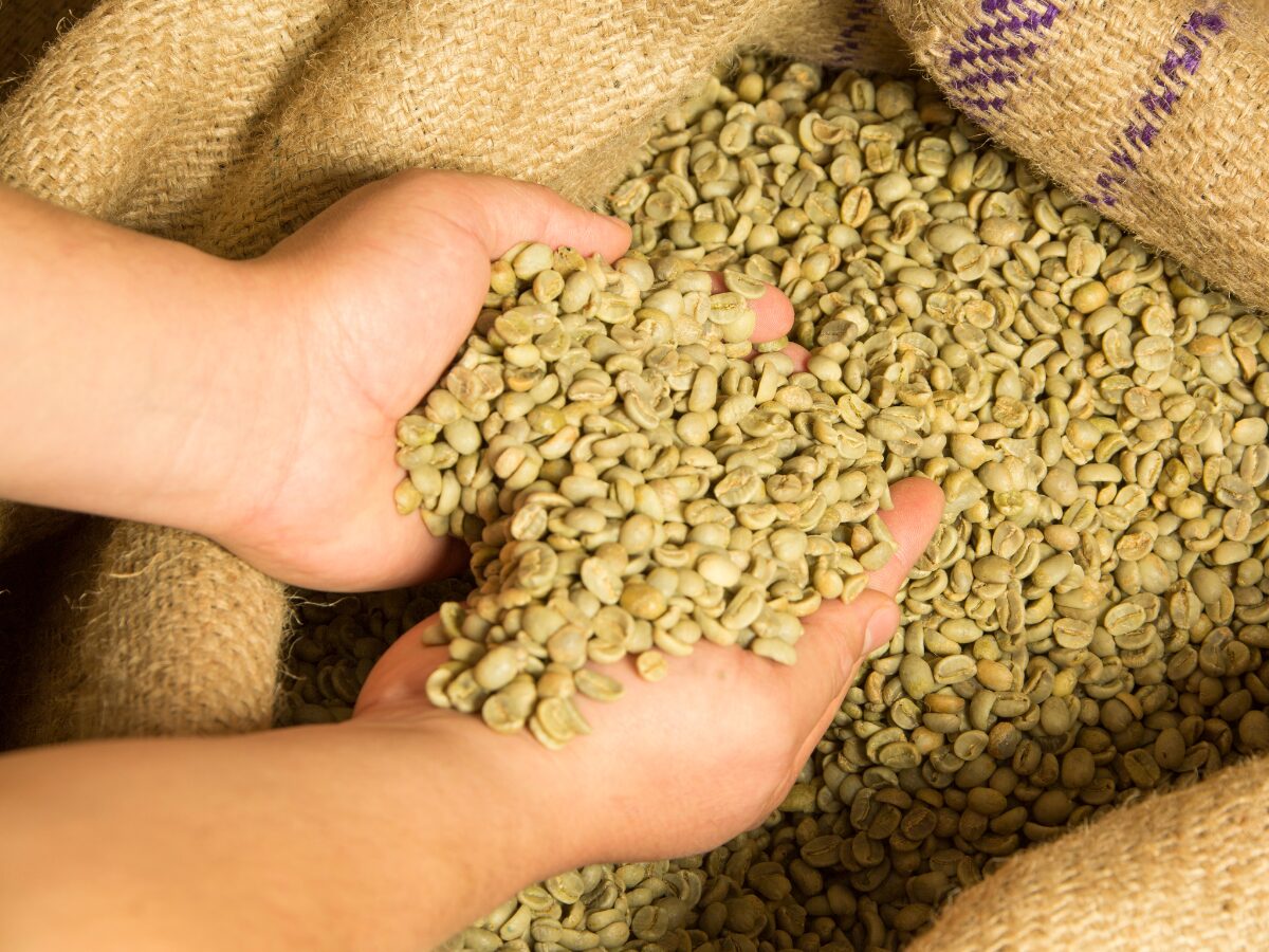 Virota Cafe | Tiêu chuẩn cà phê xuất khẩu | Xuất khẩu cà phê | vietnam coffee export