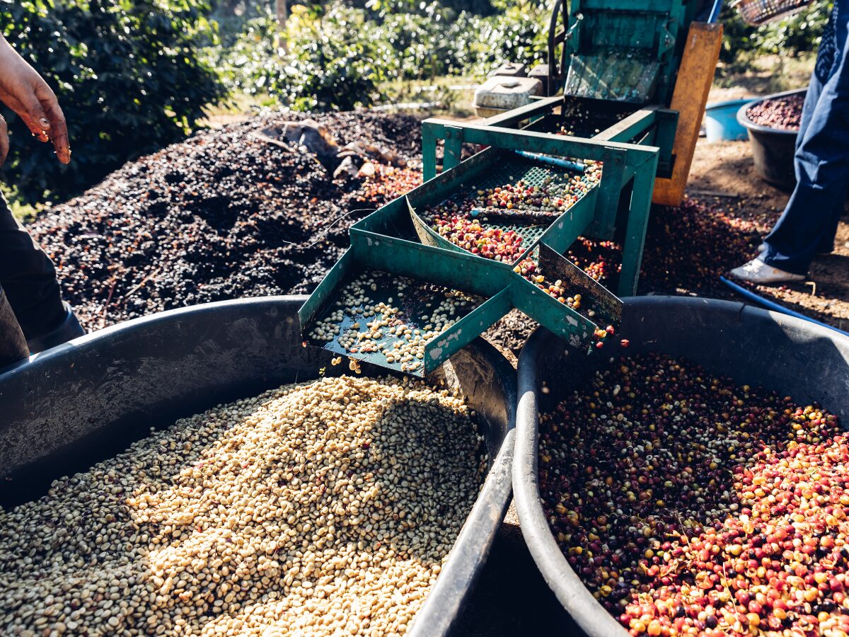 Virota Cafe | Chi phí gia công cà phê hòa tan – Những yếu tố ảnh hưởng và cách tối ưu