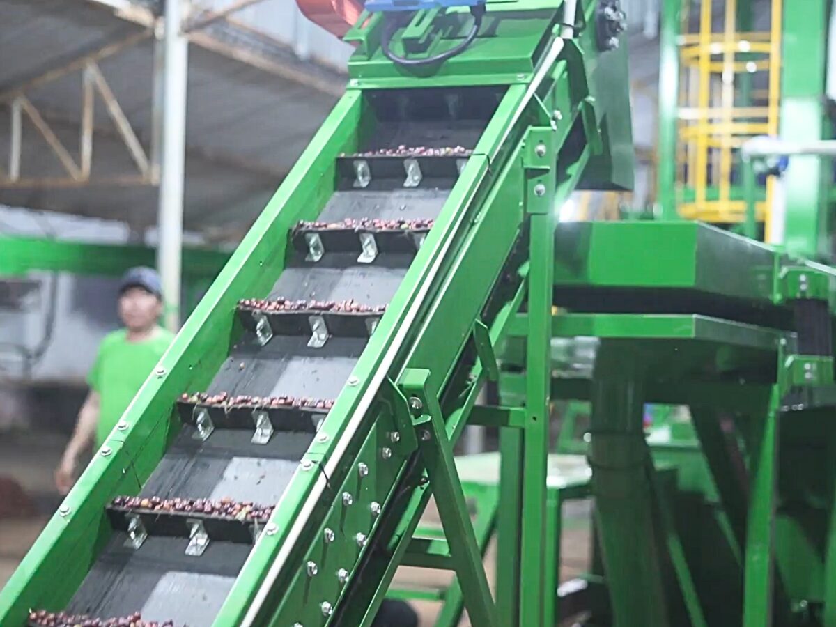 Virota Cafe | Phương pháp chế biến ướt cà phê |Wet Process - Washed Process