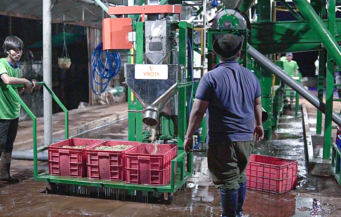 Virota Cafe | Phương pháp chế biến ướt cà phê |Wet Process - Washed Process