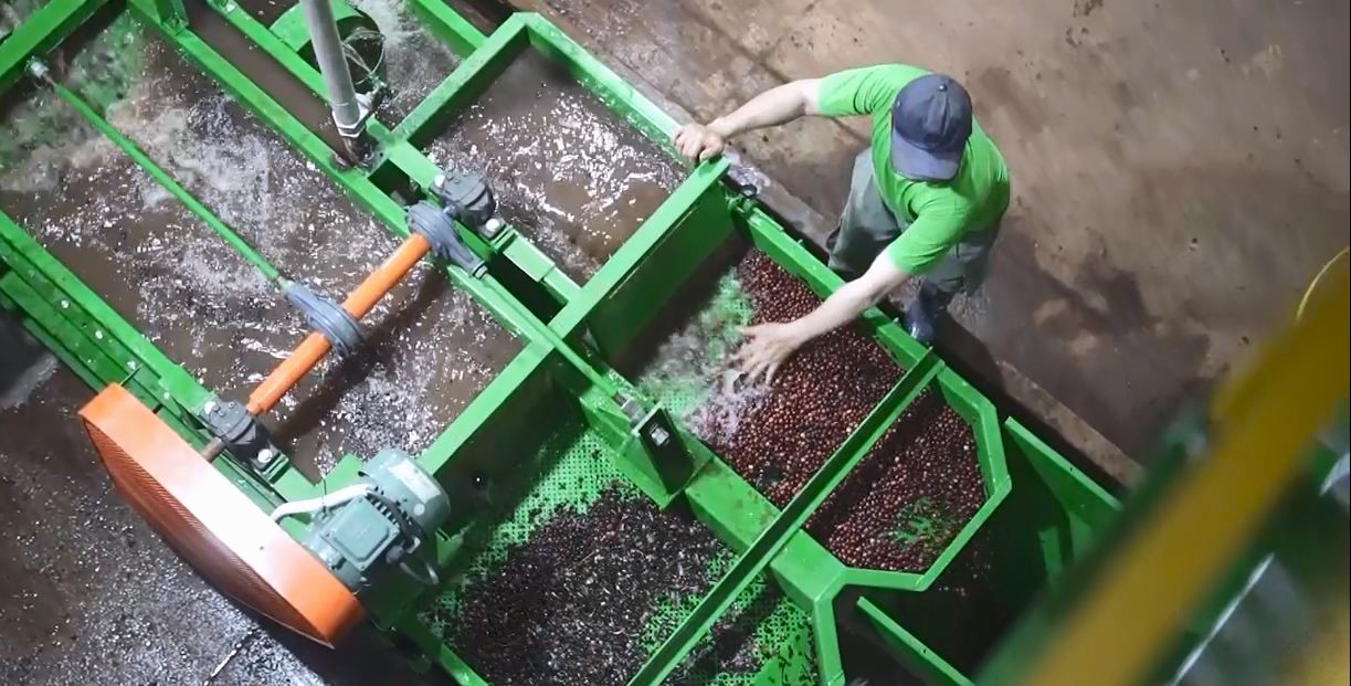 Virota Cafe | Nhà máy sản xuất cà phê | Coffee plant | Instant Coffee Manufacturers | Instant Coffee Suppliers